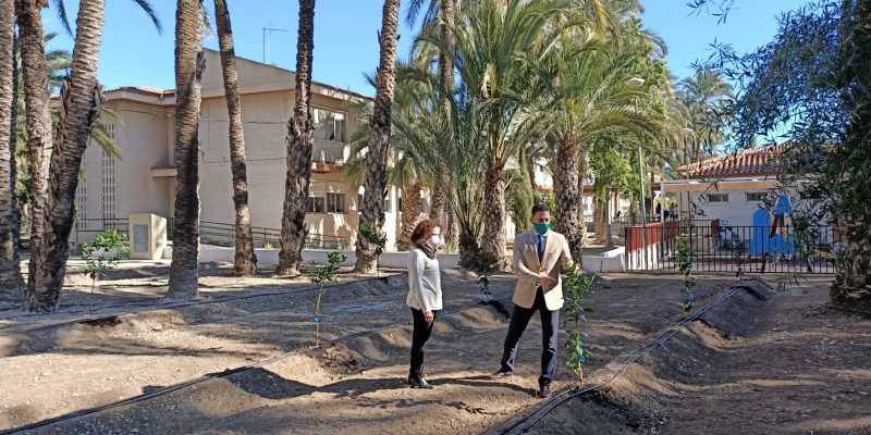 Aprobadas las subvenciones en materia de medio ambiente urbano en Orihuela