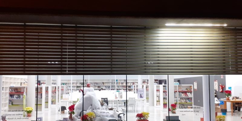 ADIS alegra la Navidad en Benejúzar al encargarse de la decoración