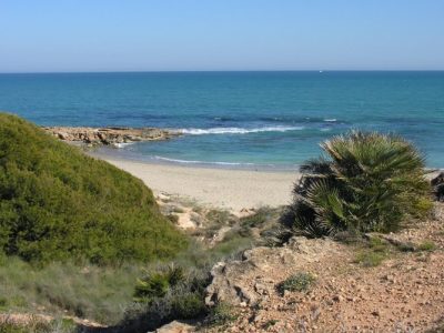 El Plan de Acción Territorial de la Vega Baja contempla la urbanización de Cala Mosca