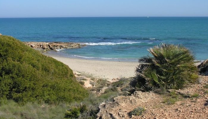 El Plan de Acción Territorial de la Vega Baja contempla la urbanización de Cala Mosca