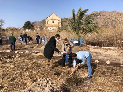 Orihuela celebra el 'Día del Árbol de la Comunidad Valenciana'