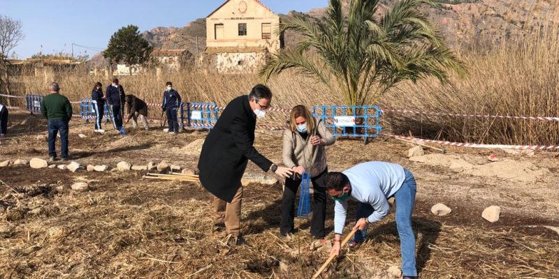 Orihuela celebra el 'Día del Árbol de la Comunidad Valenciana'