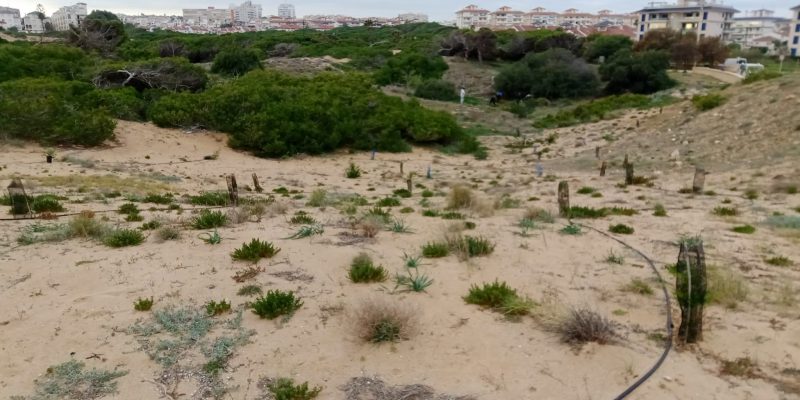 El Paraje Molino del Agua en Torrevieja avanza en su recuperación