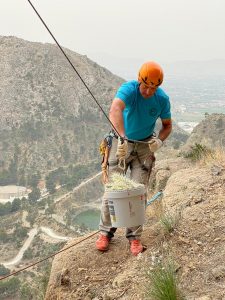 El Consell actuará contra el Cactus de Arizona en Orihuela
