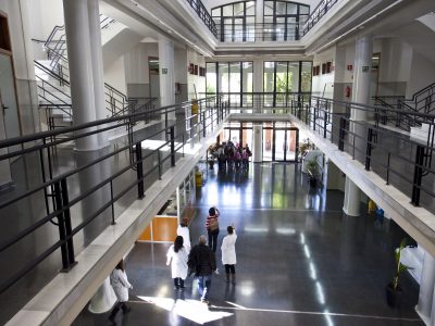 El éxito de los grado de las universidades públicas valencianas aumenta durante la pandemia