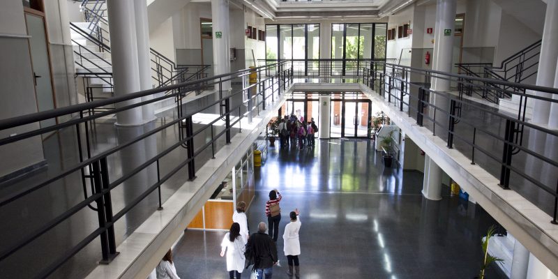 El éxito de los grado de las universidades públicas valencianas aumenta durante la pandemia