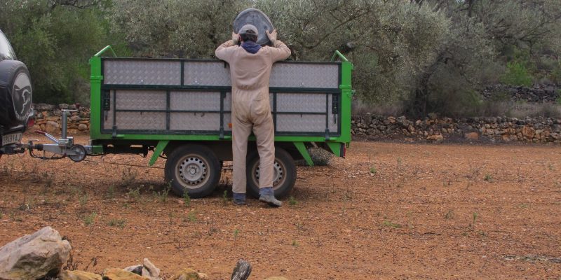 Los agricultores y ganaderos profesionales de un total de 138 localidades de la Comunitat Valenciana situadas en zonas con limitaciones naturales podrían quedarse sin ayudas por este concepto, si no se cambia el Plan Estratégico de la nueva PAC presentado por la Conselleria de Agricultura que las ha eliminado, según denuncia LA UNIÓ de Llauradors