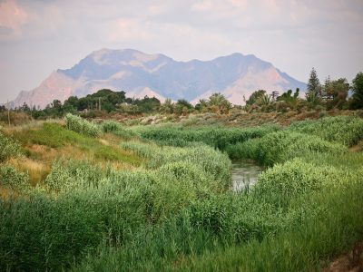 Almoradí anima a la población a conservar el medio ambiente