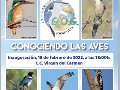 Torrevieja inaugura mañana la exposición 'Conociendo las aves'