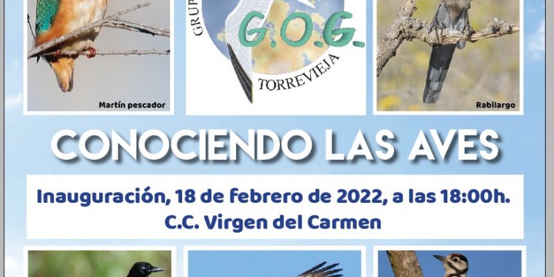 Torrevieja inaugura mañana la exposición 'Conociendo las aves'