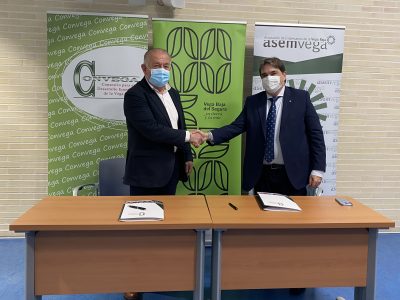 La marca territorio Vega Baja sigue creciendo con la adhesión de ASEMVEGA