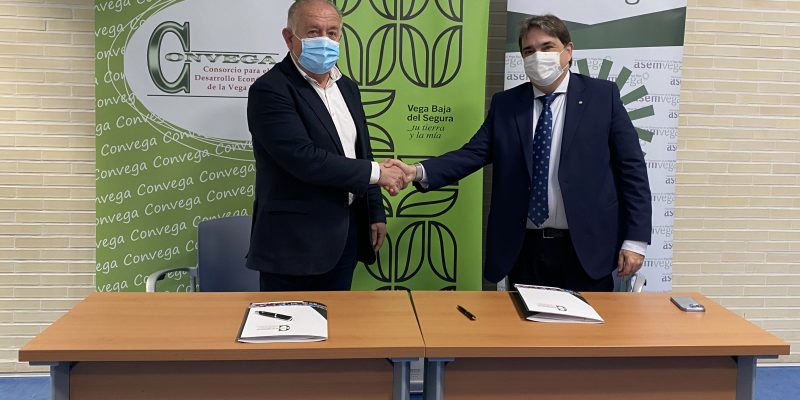 La marca territorio Vega Baja sigue creciendo con la adhesión de ASEMVEGA