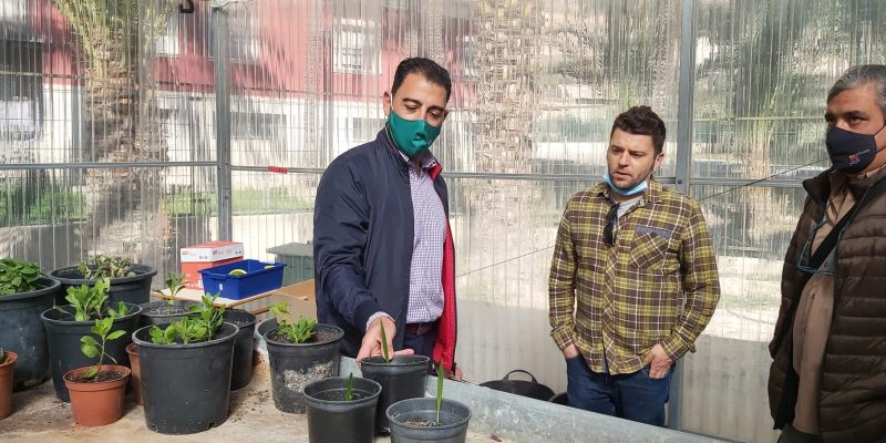 El CEE Antonio Sequeros de Orihuela amplía su huerto escolar