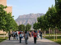 El proyecto Agrocompostaje de la UMH participa en la feria 'Ecoalicante'