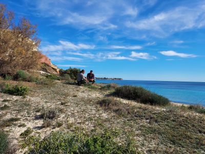 Orihuela actúa para proteger las dunas del litoral oriolano