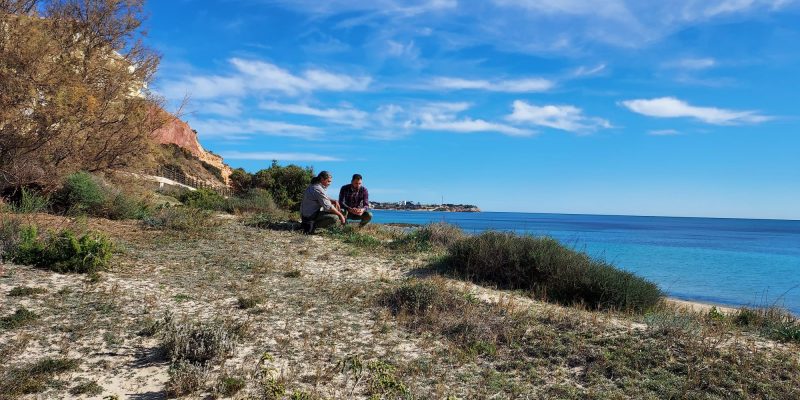 Orihuela actúa para proteger las dunas del litoral oriolano