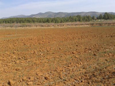 La Unió celebra que el Ministerio establezca medidas de apoyo al sector agrario