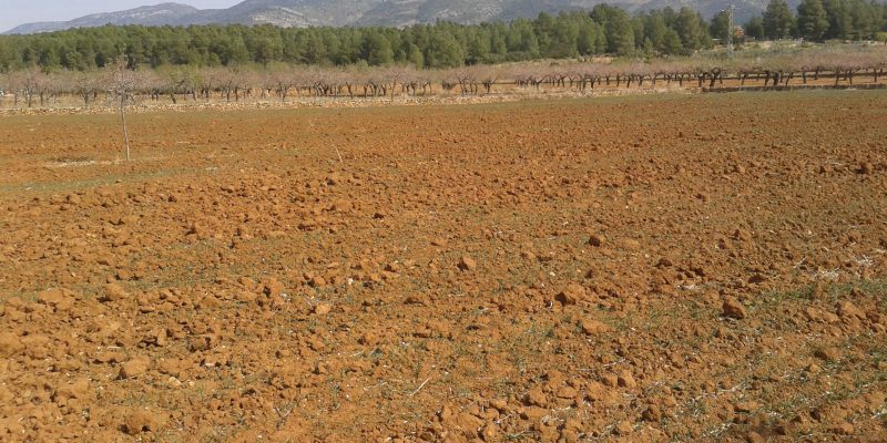 La Unió celebra que el Ministerio establezca medidas de apoyo al sector agrario