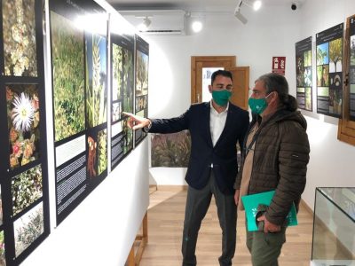 Orihuela reunirá en un libro la exposición sobre plantas y sus usos tradicionales