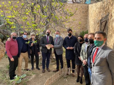 Orihuela obsequia a La Moncloa con un esqueje de la higuera de Miguel