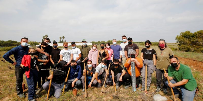 Desarrollan en Torrevieja un proyecto de recuperación patrimonial de las Viñas en La Mata