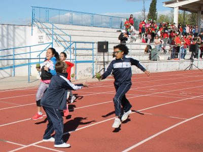 Escolares de Orihuela, Rafal, Dolores y Almoradí participarán en las Olimpiadas de la Alcachofa