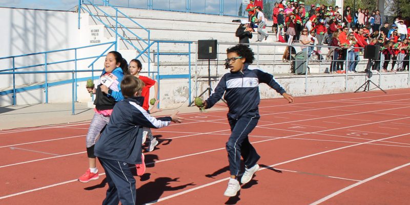 Escolares de Orihuela, Rafal, Dolores y Almoradí participarán en las Olimpiadas de la Alcachofa