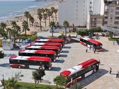 Torrevieja concluye que no es conveniente la gestión directa del transporte urbano