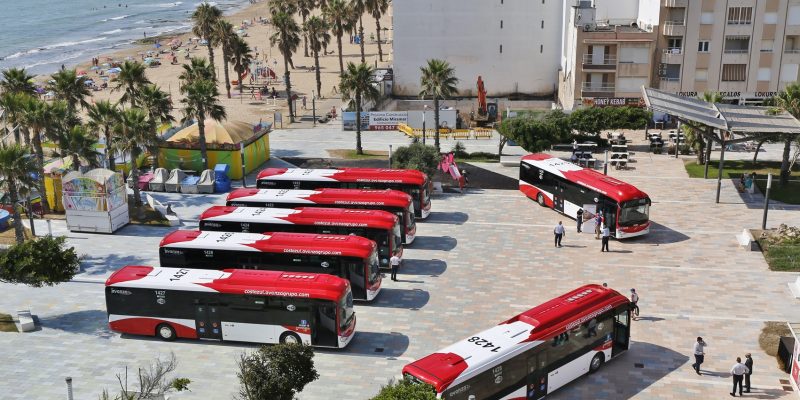 Torrevieja concluye que no es conveniente la gestión directa del transporte urbano