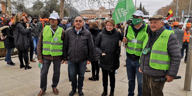 Orihuela presente en la manifestación agrícola en Madrid