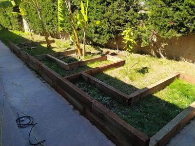 Orihuela dota de un huerto escolar al CEIP Los Dolses en la costa