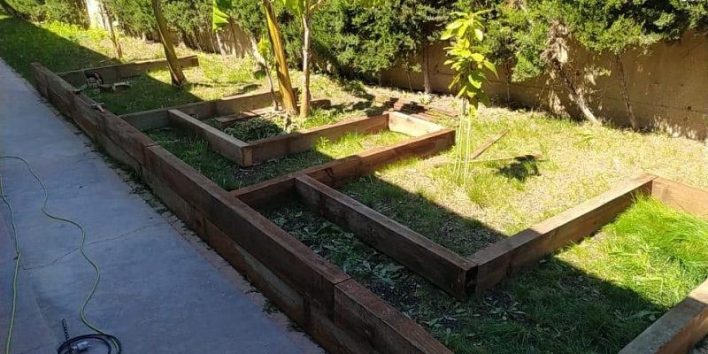 Orihuela dota de un huerto escolar al CEIP Los Dolses en la costa