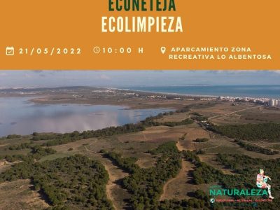 Torrevieja organiza una jornada de ecolimpieza para jóvenes