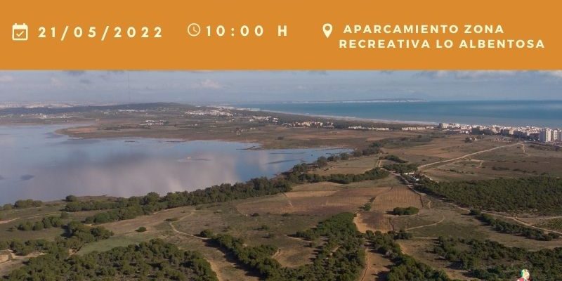 Torrevieja organiza una jornada de ecolimpieza para jóvenes