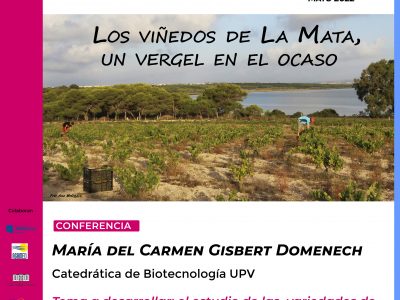 Ars Creatio presenta la segunda conferencia dedicada a las lagunas de Torrevieja