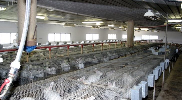 La Unió reclama apoyo ante la crisis del sector cunícola valenciano