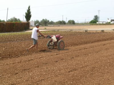 Los agricultores piden la publicación de la reducción de módulos fiscales para el IRPF