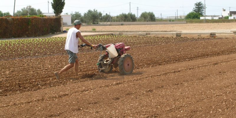 Los agricultores piden la publicación de la reducción de módulos fiscales para el IRPF