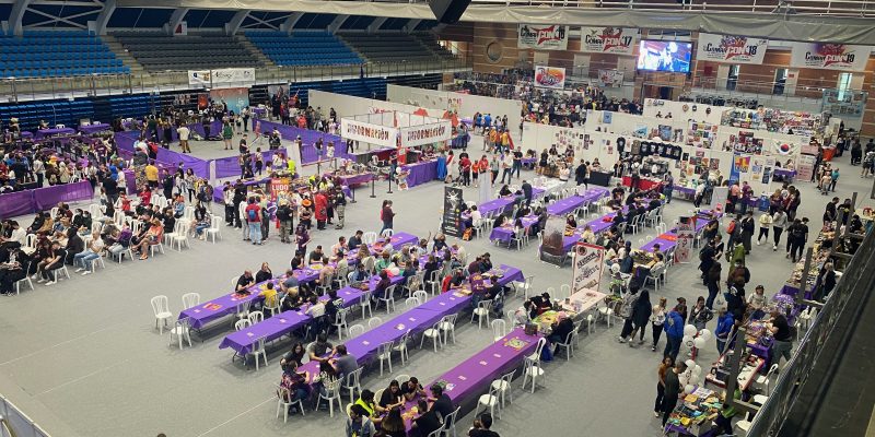 Más de 7.000 visitantes disfrutan de la 'Comarcon' de Torrevieja