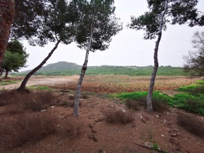 Benejúzar termina la recuperación del antiguo vertedero de escombros