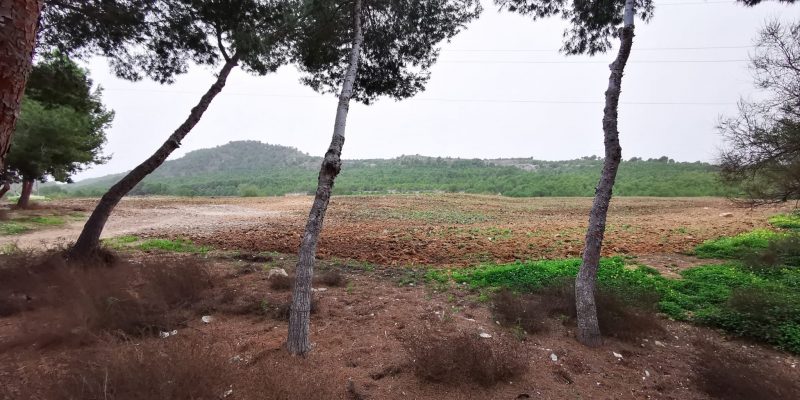 Benejúzar termina la recuperación del antiguo vertedero de escombros