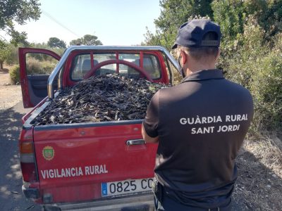 La Unió afirma que se producen tres robos diarios en el campo valenciano