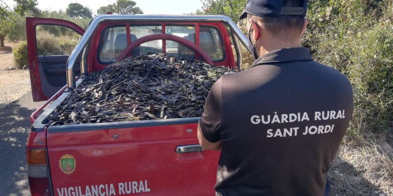 La Unió afirma que se producen tres robos diarios en el campo valenciano