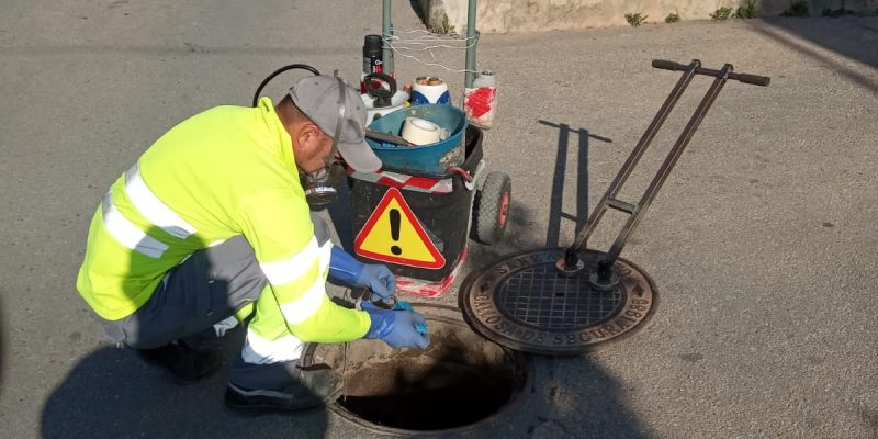Callosa intensifica los tratamientos contra las plagas
