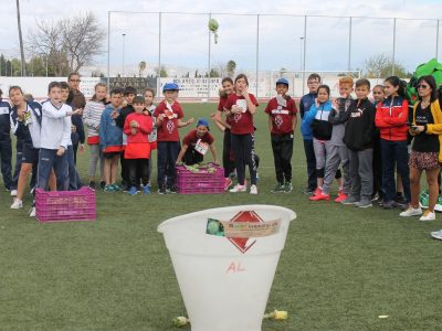 Almoradí celebra con éxito sus II Olimpiadas Escolares de la Alcachofa