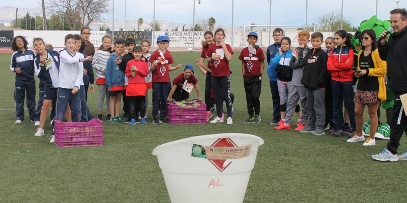 Almoradí celebra con éxito sus II Olimpiadas Escolares de la Alcachofa
