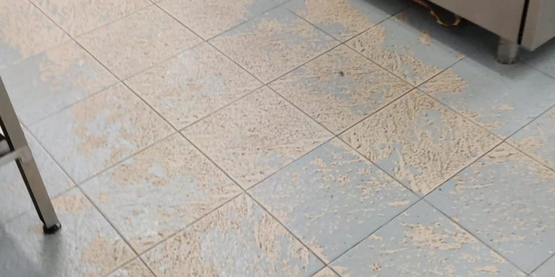 Conselleria exige a Orihuela que subsane las deficiencias del CEE Antonio Sequeros