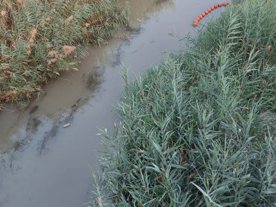 El PP denuncia que el río en Orihuela está un mes sin red contra plásticos