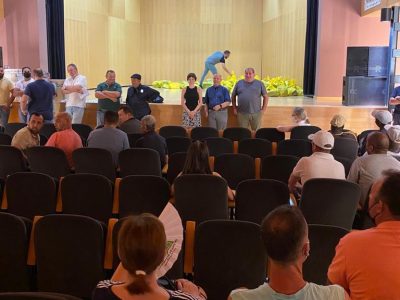 Orihuela contrata a 80 nuevos trabajadores agrícolas