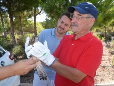 Aves y mamíferos recuperan la libertad en el parque El Recorral de Rojales